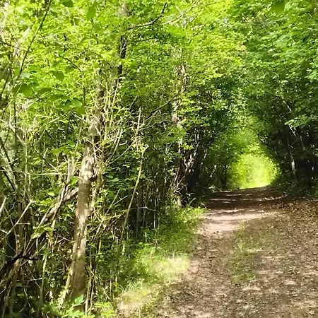 Hébergement de vacances Amazing In *