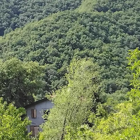 Hébergement de vacances Amazing In