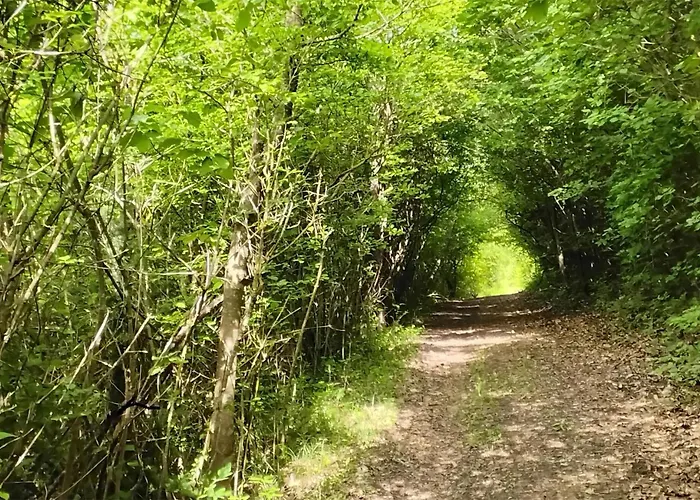 Semesterbostad Amazing In *