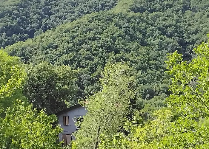 Semesterbostad Amazing In